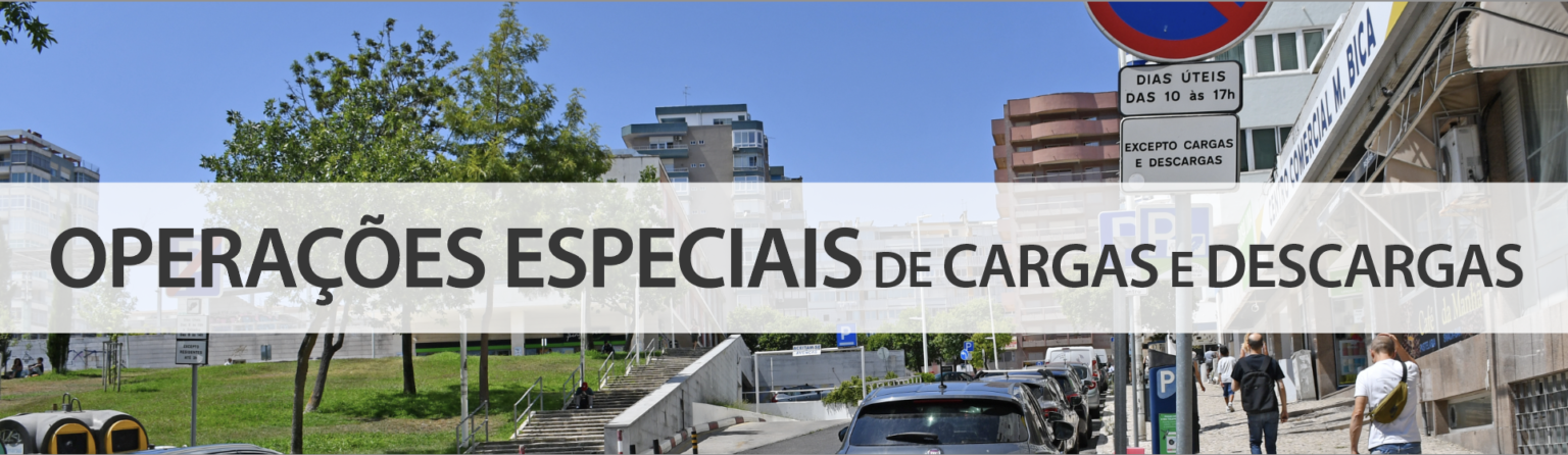 Requerimento cargas e descargas - wemob.pt