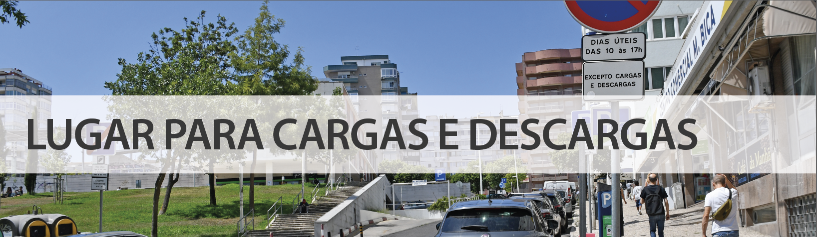 LugarCargasDescargas